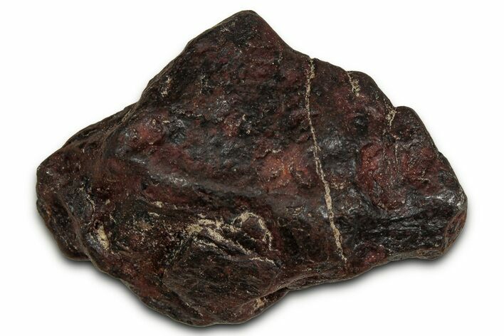 Canyon Diablo Iron Meteorite ( g) - Arizona #356017